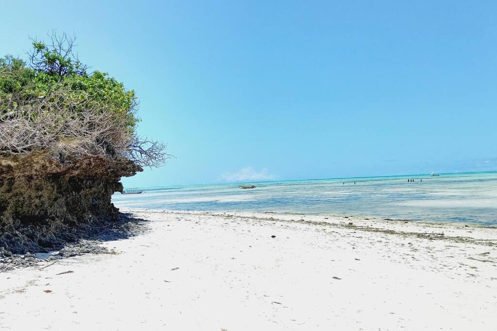 Jambo Jambiani Beach Villa, Beautiful Private Villa At 2 Minutes From The Beach Exterior photo